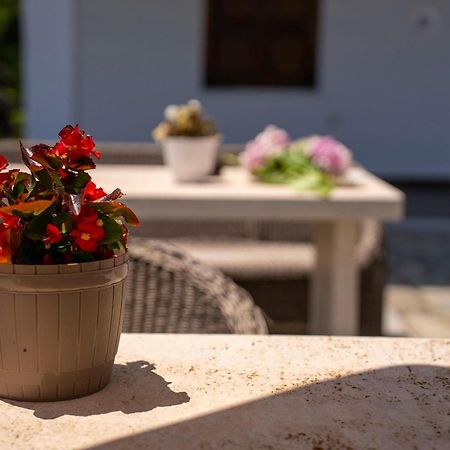 Paradeisos Rooms Pelion Áyios Dhimítrios المظهر الخارجي الصورة