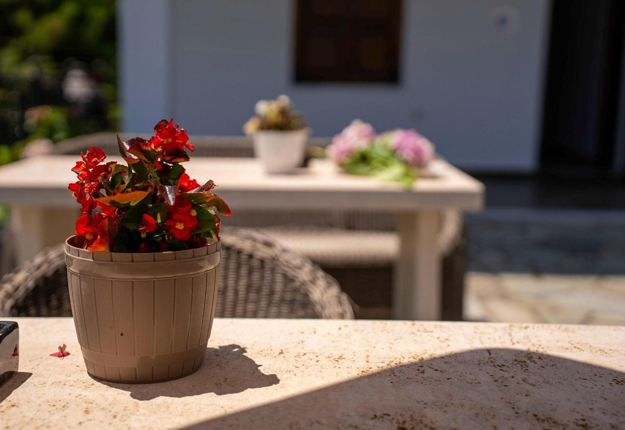 Paradeisos Rooms Pelion Áyios Dhimítrios المظهر الخارجي الصورة