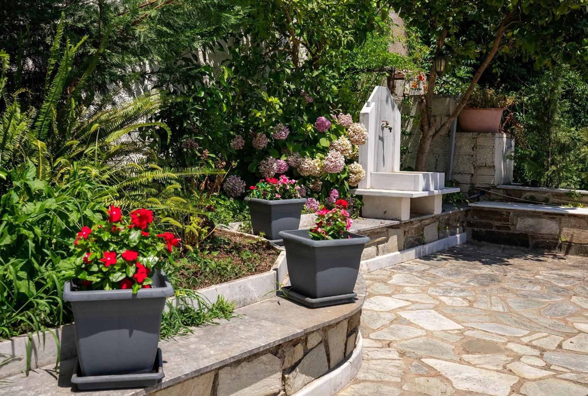 Paradeisos Rooms Pelion Áyios Dhimítrios المظهر الخارجي الصورة